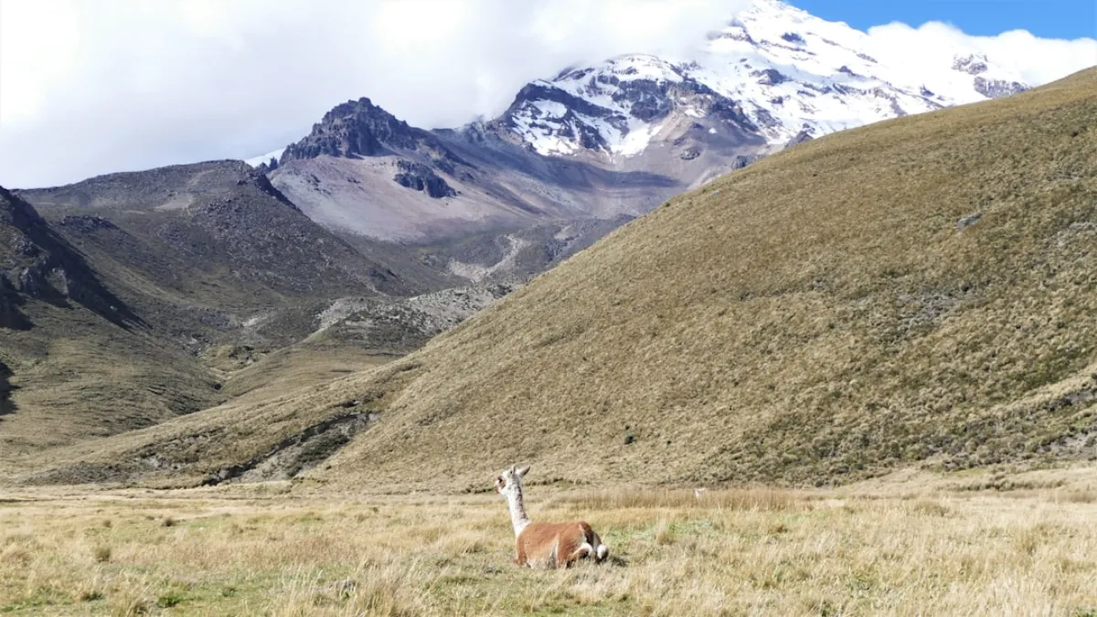 Vilcabamba, Ecuador — Retirement in the Valley of Longevity